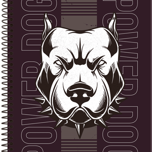 Caderno Universitário Foroni Capa Dura 160 Folhas 10 Matérias Power Dog