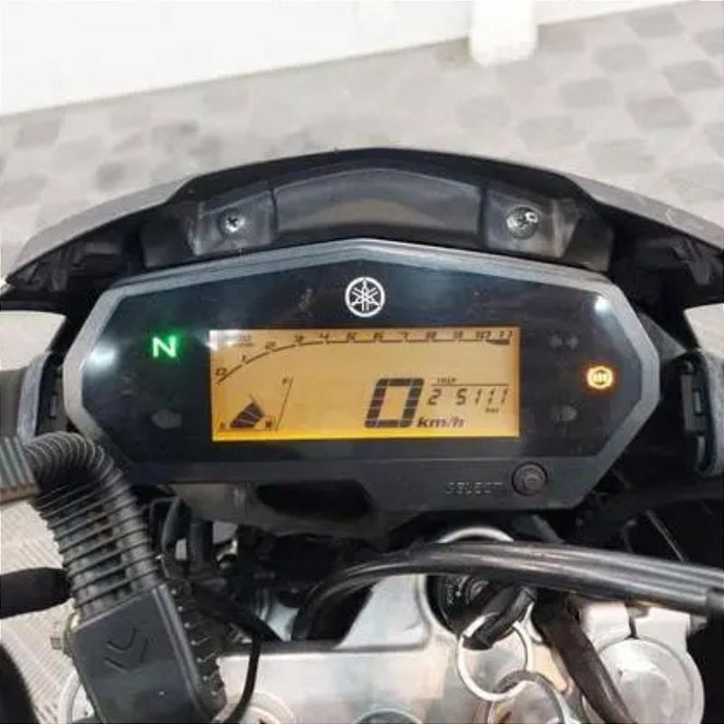 17509287863731