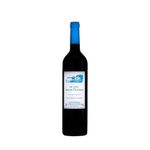 vh-tto-por-qta-de-bons-ventos-750ml