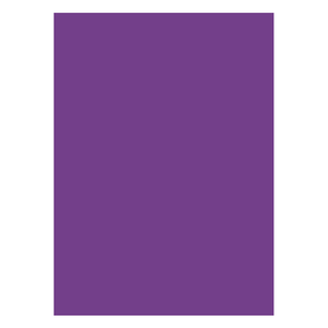 Papel Dupla Face Roxo 48X66 20x1