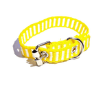 coleira-petmar-nylon-n0