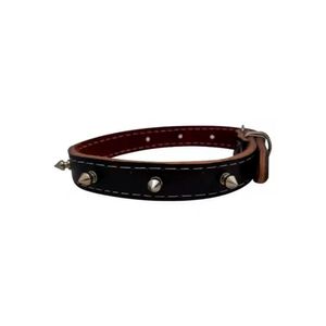 Coleira Pet Mar com Pinos Nº6 1und