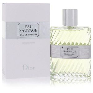 Perfume Masculino Pour Homme Dylan Blue Versace 100Ml