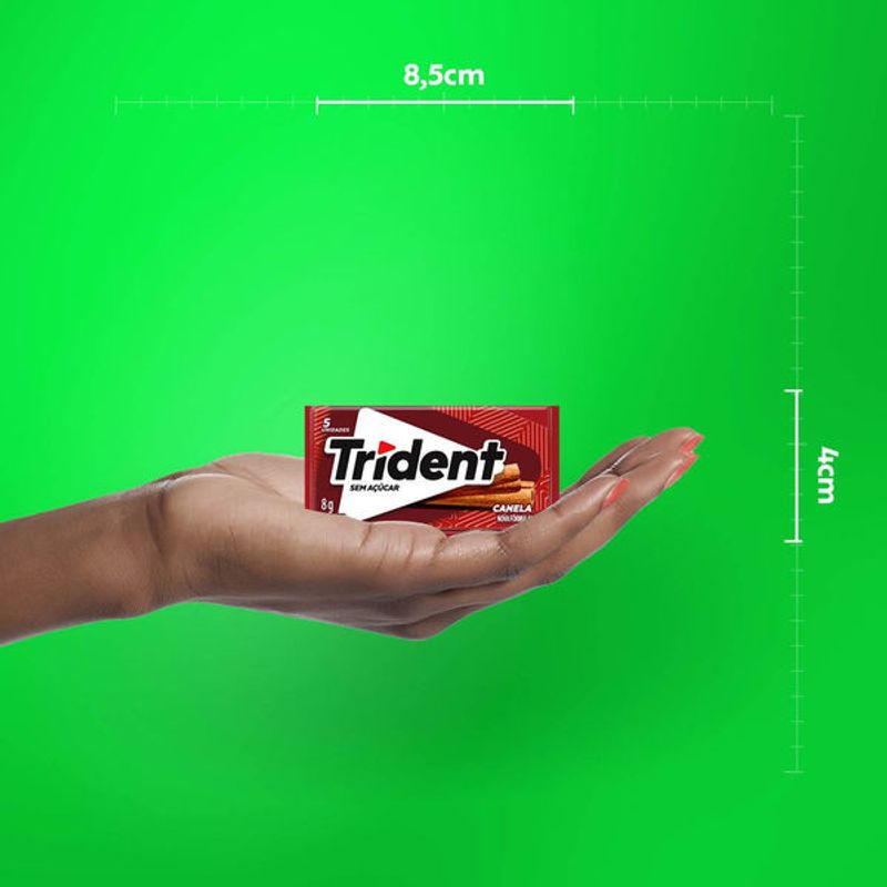 chic-trident-canela-85g