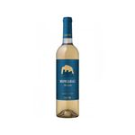 vh-bco-port-carmim-monsa-doc-alent-750ml