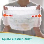 fralda-pampers-pants-prem-hiper-xg-64x1