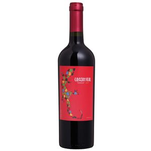 Vinho Uruguaio Braccobosca Tannat Lacertilia