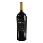 vh-tto-chi-paso-de-los-andes-carm-750ml
