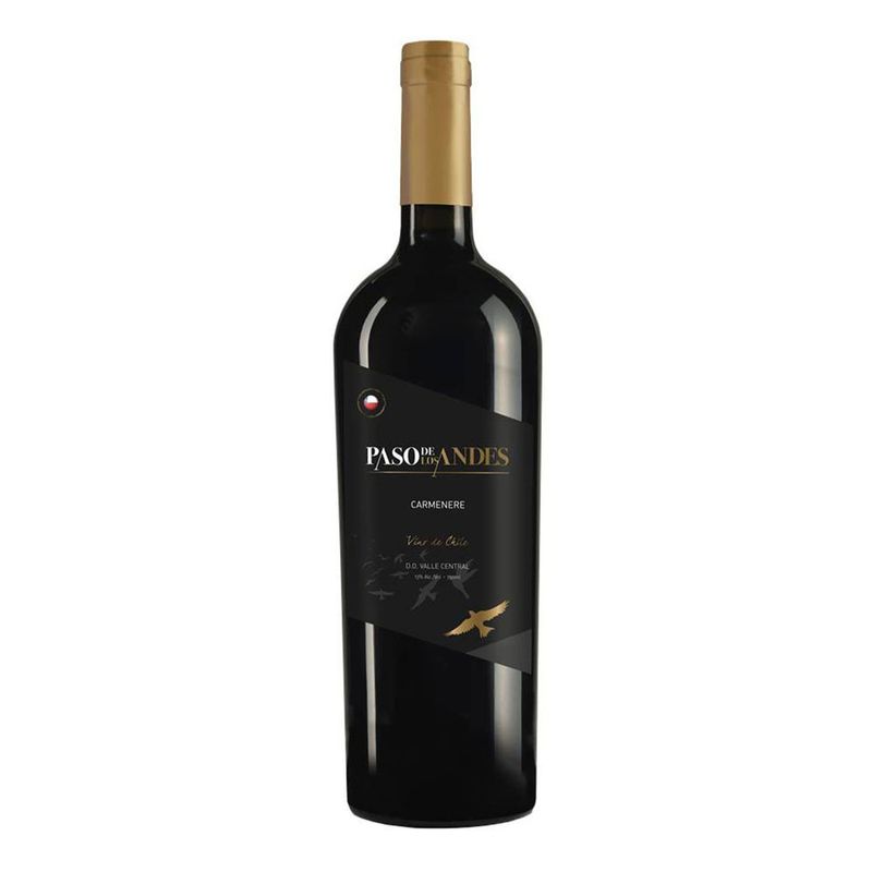 vh-tto-chi-paso-de-los-andes-carm-750ml