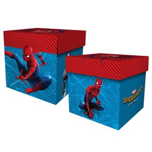 Caixa Surpresa Cubo Spider Man Home - 8 unidades - Regina Festas