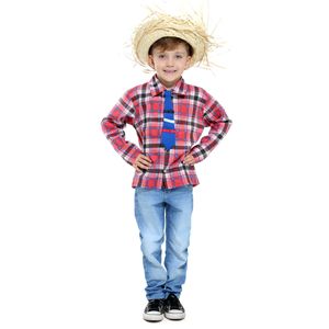 Fantasia Camisa Bento Xadrez Vermelho com Grvata Azul e Chapéu Infantil - Festa Junina