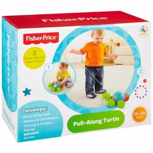 Empurra Tartaruga Fisher-Price Y8652